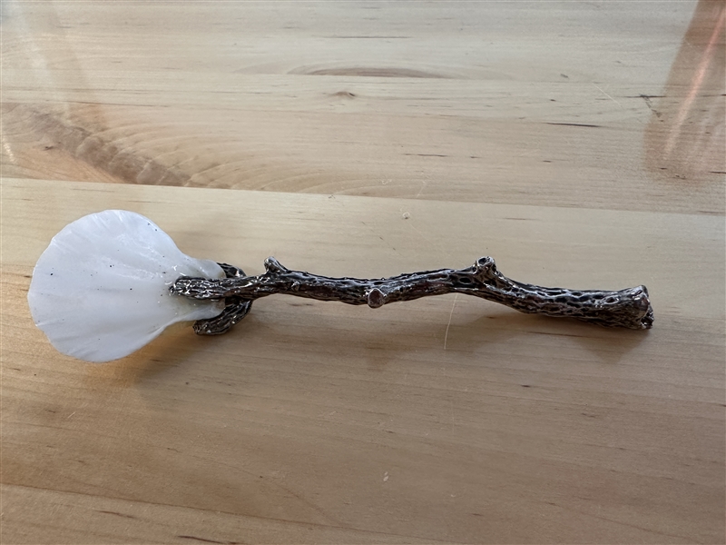 Seashell spoon